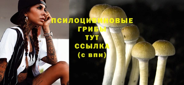 COCAINE Алексеевка