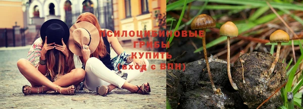 амф Алзамай