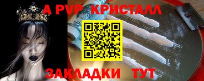 стафф Будённовск