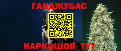 стафф Будённовск